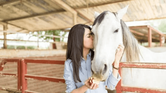 Equine therapy for drug addiction