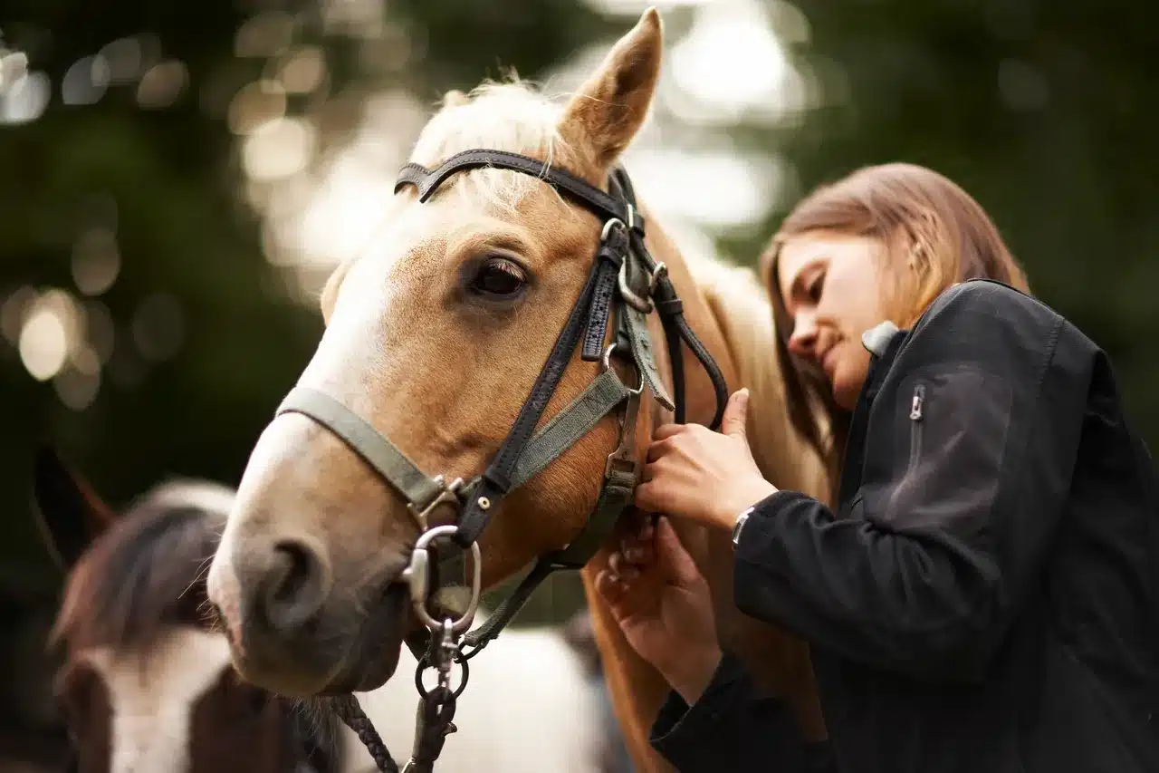 The Benefits of Equine-Assisted Therapy