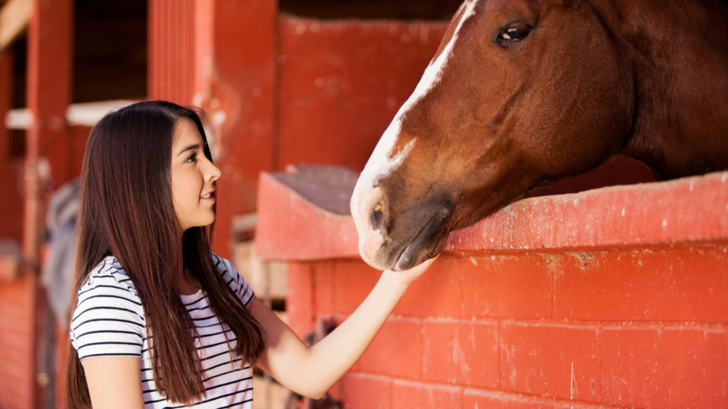 United Healthcare Rehab in Atlanta, Georgia | Thoroughbred