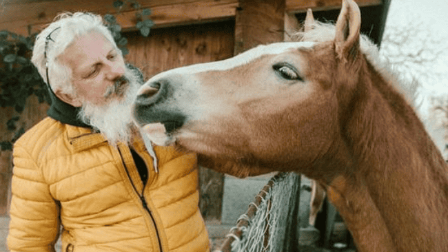 Equine therapy for addiction