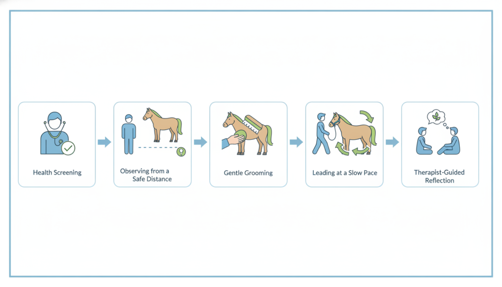 First equine assisted therapy session steps for anxiety and depression care