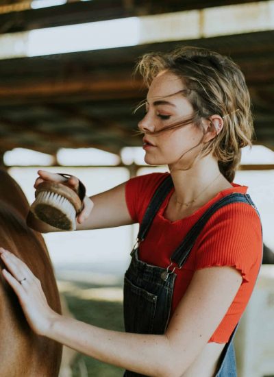 Woman brushing horse in Equine-Assisted Therapy in Georgia.