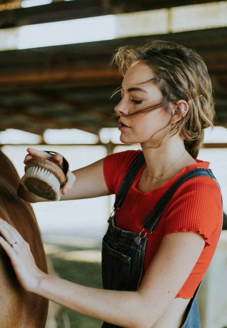 Woman brushing horse in Equine-Assisted Therapy in Georgia.